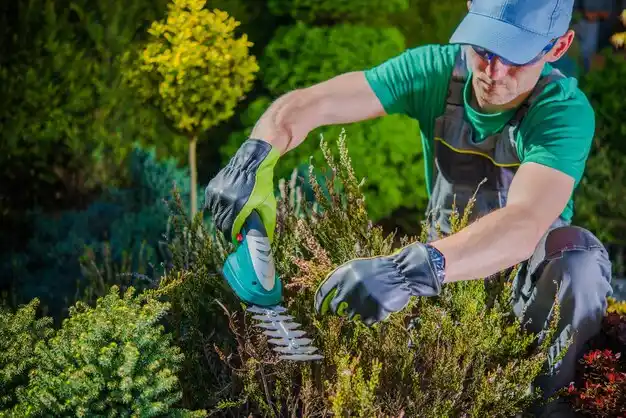 landscaping services Jericho